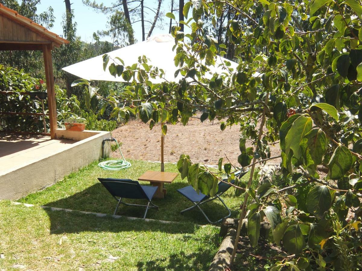 Ecobosque Villa Nadadouro Eksteriør billede